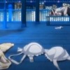 Thumbnail of related posts 134