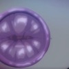 Thumbnail of related posts 059