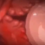 Thumbnail of post image 121