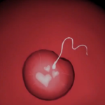 Thumbnail of post image 062