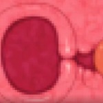 Thumbnail of post image 013