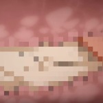 Thumbnail of post image 046