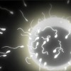 Thumbnail of related posts 096