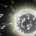 Thumbnail of post image 101
