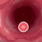Thumbnail of post image 057