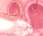 Thumbnail of post image 031