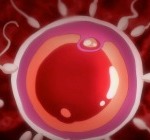 Thumbnail of post image 054