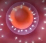 Thumbnail of post image 048