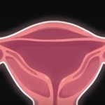 Thumbnail of post image 020