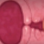 Thumbnail of post image 107