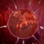 Thumbnail of post image 122