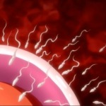 Thumbnail of post image 197