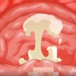 Thumbnail of post image 049