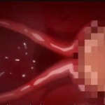 Thumbnail of post image 012