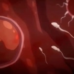 Thumbnail of post image 042