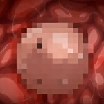 Thumbnail of post image 071